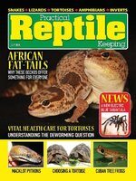 Practical Reptile Keeping